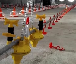 آبخوری نیپل صادراتی ایران + قیمت خرید عالی